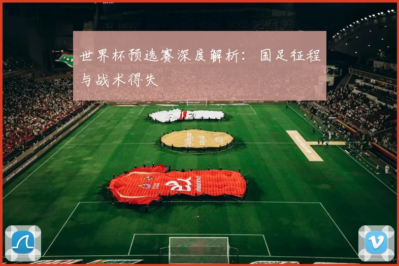 世界杯预选赛深度解析：国足征程与战术得失