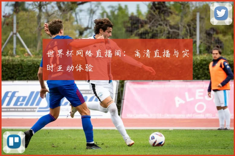 世界杯网络直播间：高清直播与实时互动体验