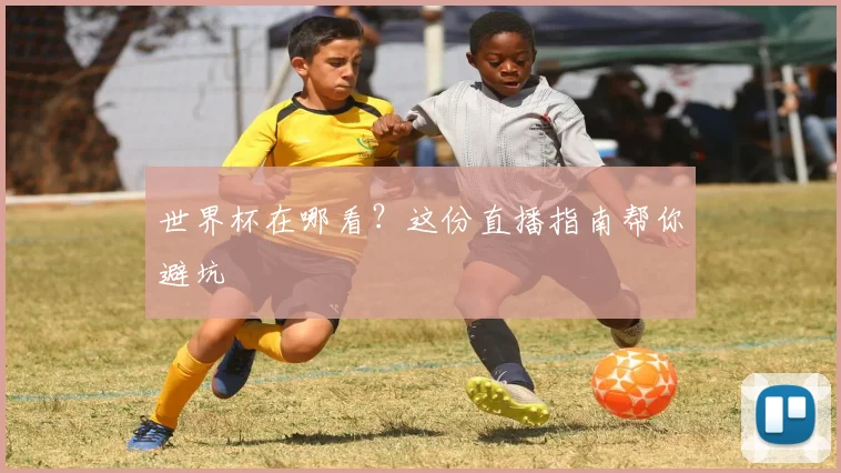 世界杯在哪看？这份直播指南帮你避坑